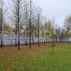 60 соток, участок коммерческого назначения - изображение 5