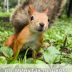 Квартира 52 м², 2-комнатная - изображение 2