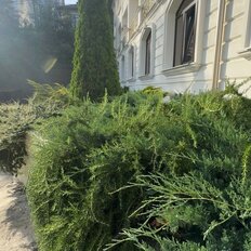 Квартира 26 м², студия - изображение 4
