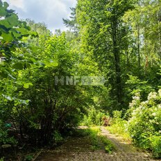 24,2 сотки, участок - изображение 5