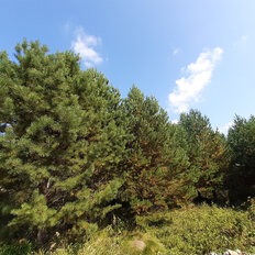 10,3 сотки, участок - изображение 1