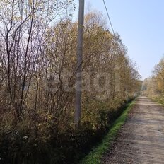 30,1 сотки, участок - изображение 2