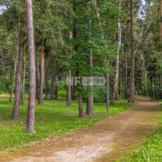 50 соток, участок - изображение 1