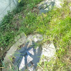 4,3 сотки, участок - изображение 2