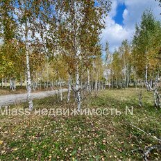 6 соток, участок - изображение 1