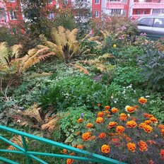 Квартира 49 м², 2-комнатная - изображение 3