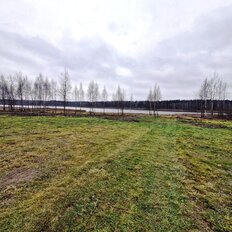 1,2 га, участок - изображение 5