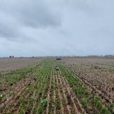 10 соток, участок - изображение 2