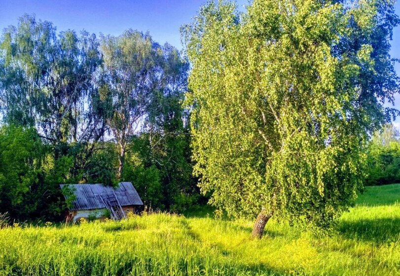 40 м² дом, 18 соток участок 1 000 000 ₽ - изображение 47
