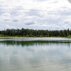 7 соток, участок - изображение 3