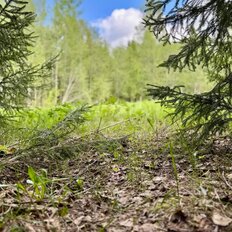 6,2 сотки, участок - изображение 5