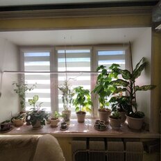 Квартира 33,9 м², 1-комнатная - изображение 2
