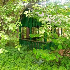 дом + 86 соток, участок - изображение 5