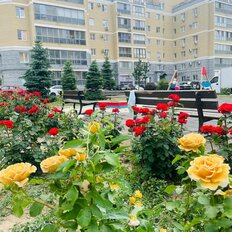 Квартира 63 м², студия - изображение 2