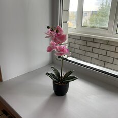 Квартира 40 м², 1-комнатная - изображение 1