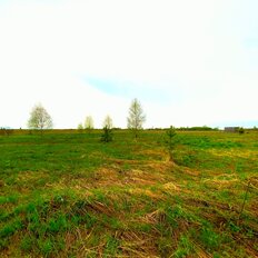 10 соток, участок - изображение 3