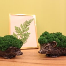 Квартира 35 м², студия - изображение 1