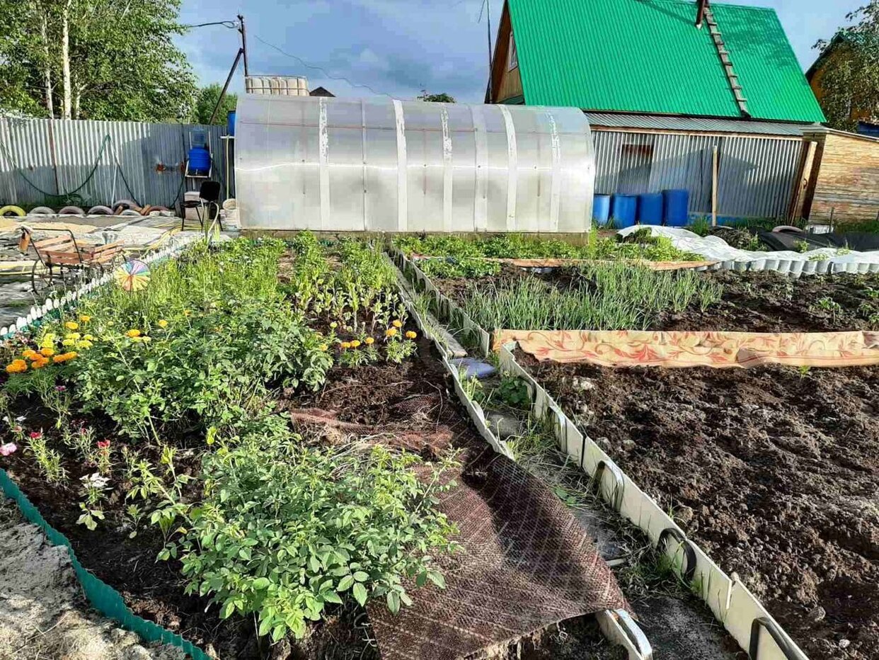 Дом 30 м² в ПСОК № 6 Витамин — фото 2