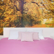 Квартира 35 м², 1-комнатная - изображение 3