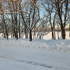 Квартира 30,1 м², 1-комнатная - изображение 5