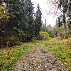 37 соток, участок - изображение 3