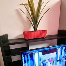 Квартира 15 м², студия - изображение 3