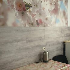 Квартира 50 м², 2-комнатная - изображение 1