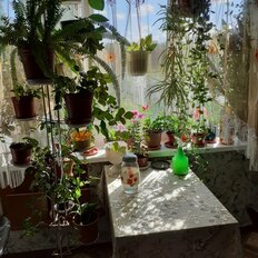 Квартира 56 м², 2-комнатная - изображение 5