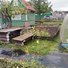 5,3 сотки, участок - изображение 5