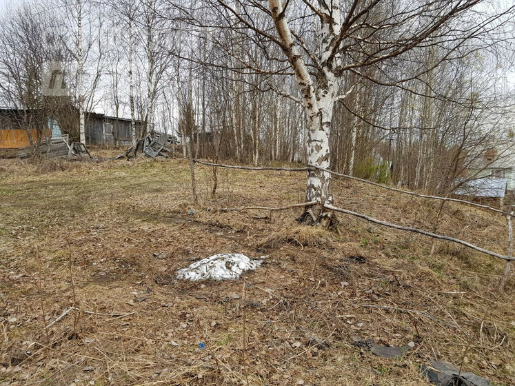 24 сотки, участок 520 000 ₽ - изображение 23