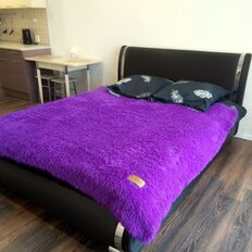 Квартира 25 м², студия - изображение 4