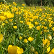 1,8 га, участок - изображение 3