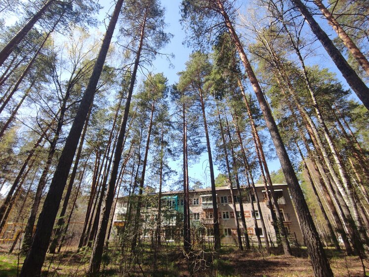 59 м², 3-комнатная квартира 3 550 000 ₽ - изображение 45