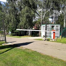 8 соток, участок - изображение 4