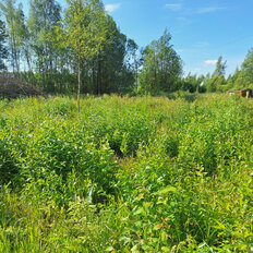 10 соток, участок коммерческого назначения - изображение 1