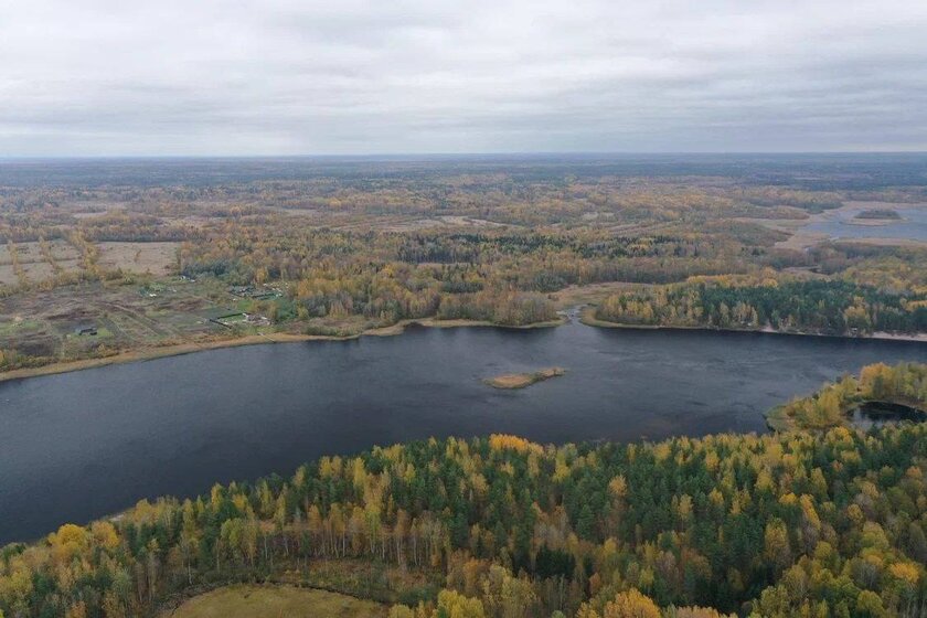 42 м², 2-комнатная квартира 5 600 000 ₽ - изображение 26