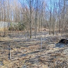 22,5 сотки, участок - изображение 3