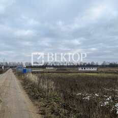 12 соток, участок - изображение 3