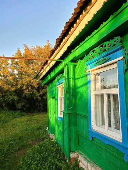 43,3 м² дом, 8 соток участок 980 000 ₽ - изображение 23