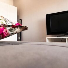 Квартира 25,5 м², студия - изображение 4