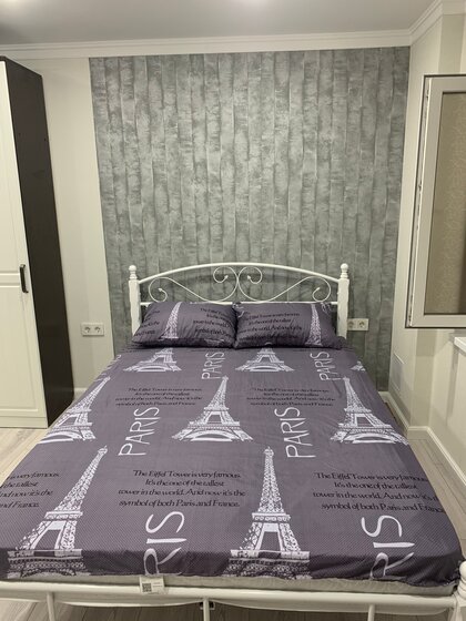 28 м², 1-комнатная квартира 2 490 ₽ в сутки - изображение 46