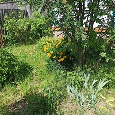 дом + 15 соток, участок - изображение 3