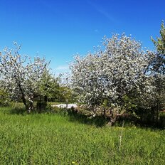 6 соток, участок - изображение 5