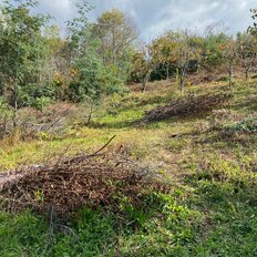 1 га, участок - изображение 2