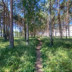 Квартира 31,1 м², 1-комнатная - изображение 5