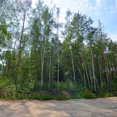 20 соток, участок - изображение 2