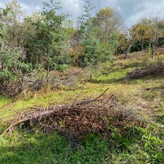 1 га, участок - изображение 1