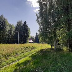 1,6 га, участок - изображение 1