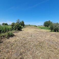 25,9 сотки, участок - изображение 2