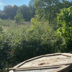 1,5 га, участок - изображение 5